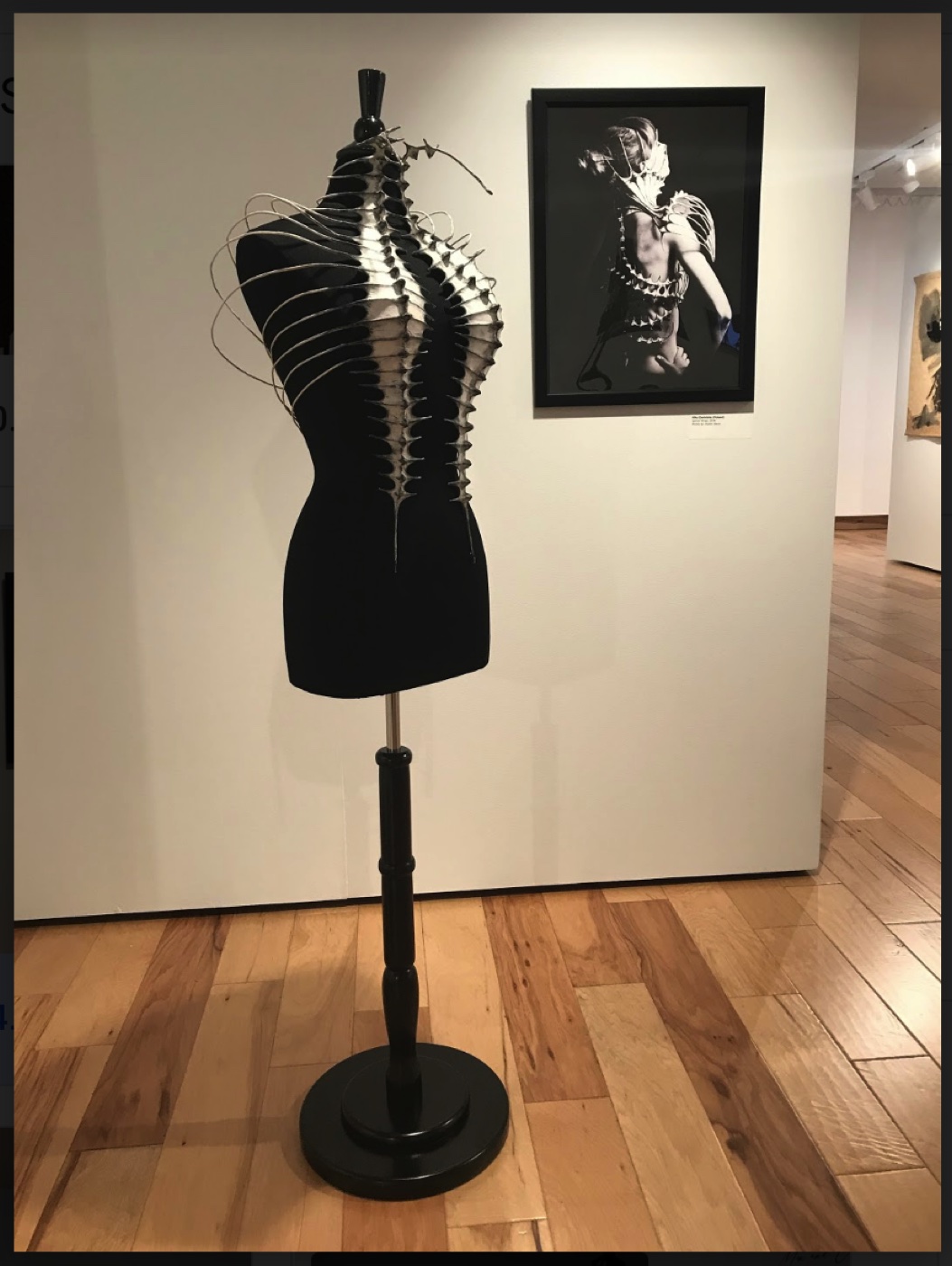 Corset sculpture and companion photograph by Danielska, The Corset as Art, SUMA