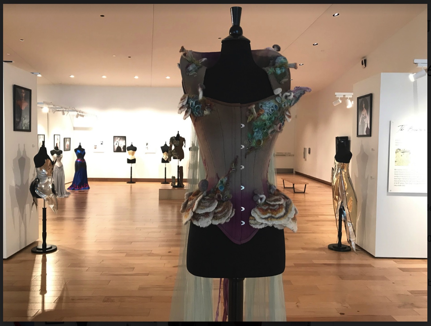 Rainbow Curve gallery installation of sculptural and metallic corsets, The Corset as Art, SUMA