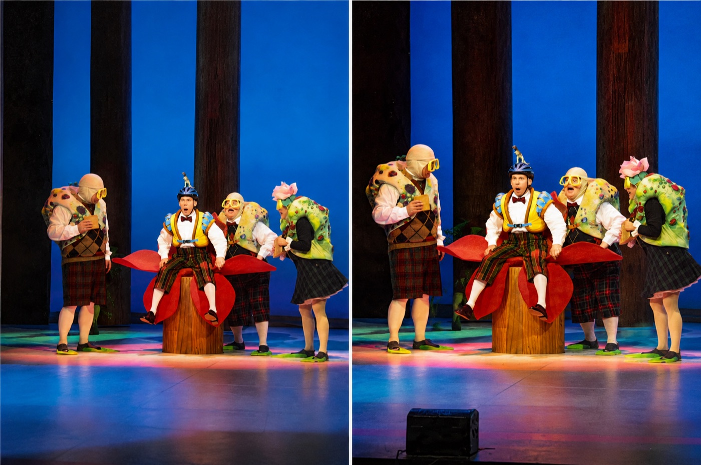 Scene photo, Once Upon a Forest